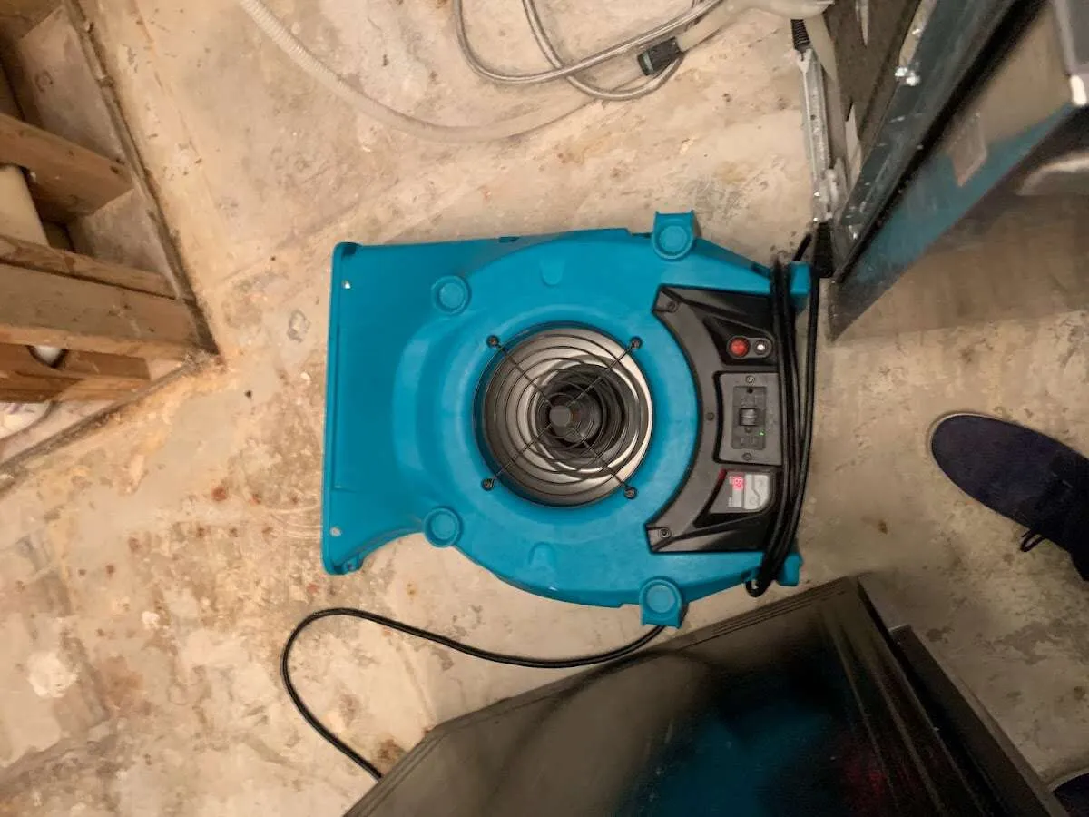 Air mover drying equipment for Mold Remediation & Removal in Riverside